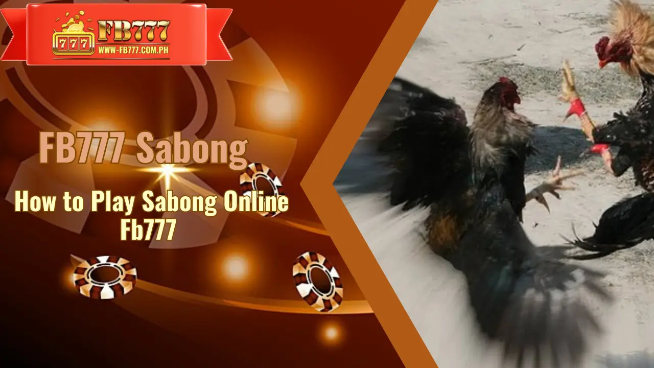 Win Big with Fb777: Your Sabong Betting Guide